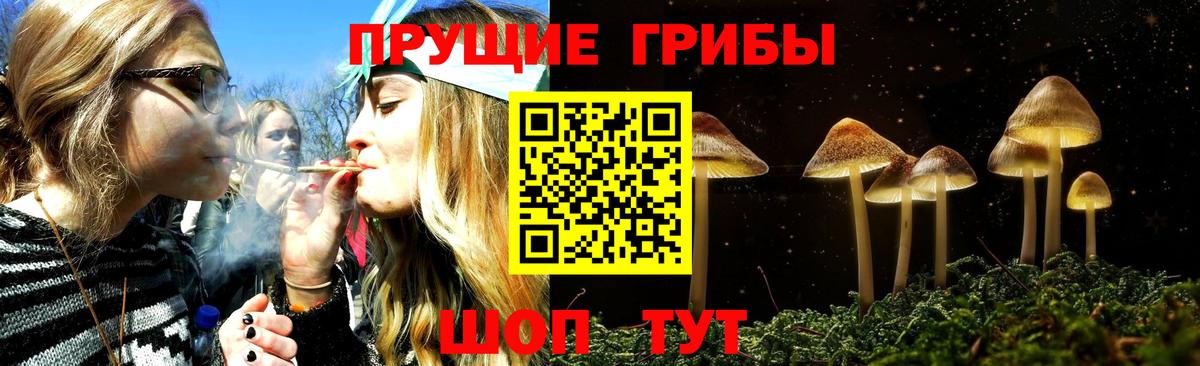Псилоцибиновые грибы мицелий Дагестанские Огни